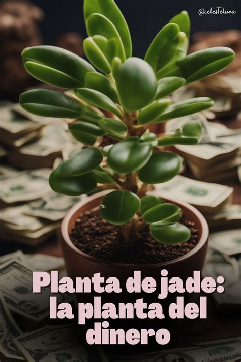 A Small Potted Plant Sitting On Top Of A Pile Of Money With The Words