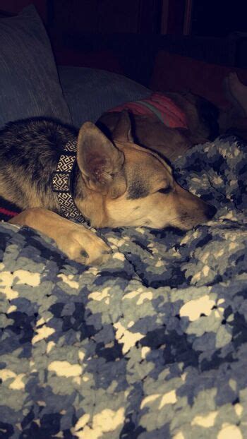 Britney Light Britneylightx Britneylight143 Nude OnlyFans The Fappening Plus