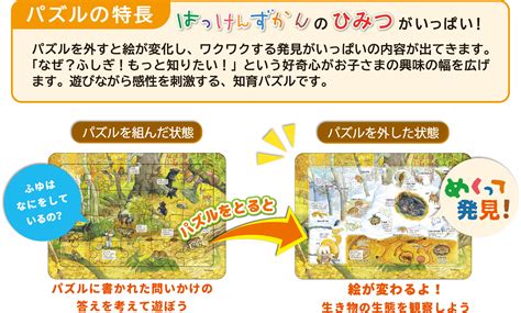 学研のはっけんパズル 特長・楽しい遊び方 学研ステイフル