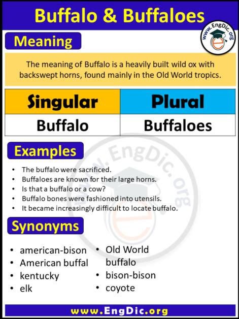 Irregular Plural Buffalo Archives EngDic