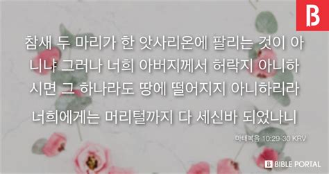 마태복음 1029 30 Krv Bible Scripture Image Bible Portal