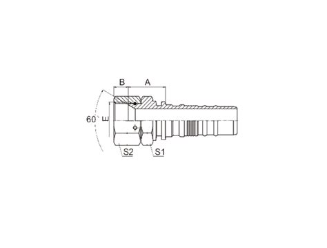 China HYDRAULIC 29613 W JIS GAS FEMALE 60CONE SEAT Manufacturers And