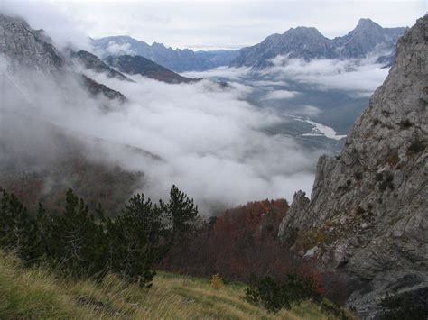 Dinaric Mountains & Balkan Mixed Forests (PA15) | One Earth