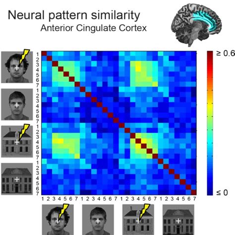 Representational Similarity Matrix A 28 X 28 Correlation Matrix