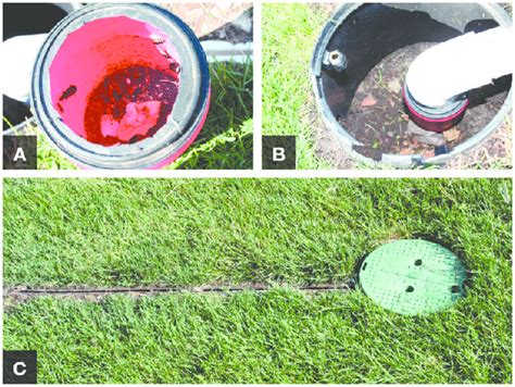 A Linear Pitfall Trap Similar To Lawrence 1982 Is A Useful Tool For