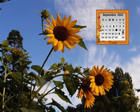 Fonds décran Calendriers Septembre 2023 Belle Picotine