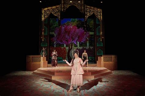 Projection/Video Design — Stefania Bulbarella