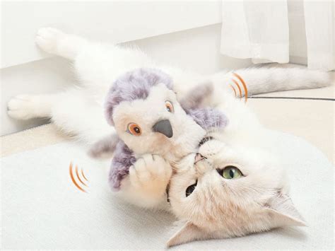 This Brand New Flapping Bird Cat Toy Is Already A Huge Hit