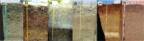 Full Article Soils Of The Aversa Plain Southern Italy