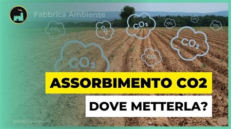 Assorbimento Della CO2 Come Catturare L Anidride Carbonica Al Suolo Da