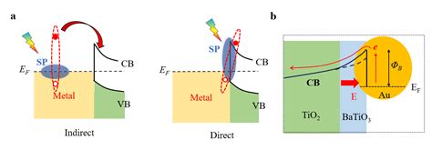 Plasmon Induced Hot Carrier Dynamics And Utilization