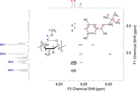 Partial 2D ROESY NMR Spectrum Of Racemic Terbutaline And 2 6 DIMEB