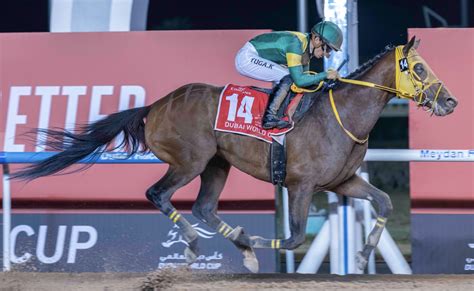 2023 Dubai World Cup Replay Ushba Tesoro Rallies Late Catches