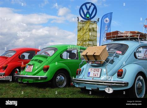 Classic VW Beetles At Club Meeting Budel Netherlands Summer 2013 Stock