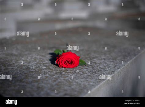 Memorial Del Holocausto Deu Deutschland Alemania Berl N