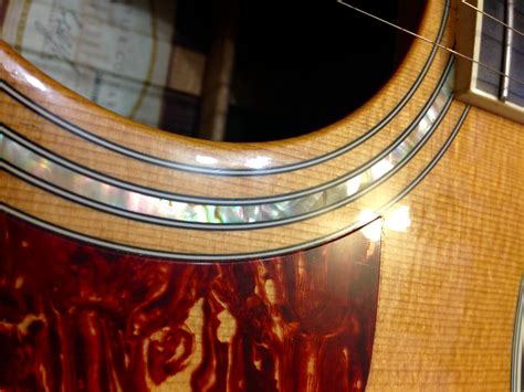 810ce Taylor 810ce Audiofanzine