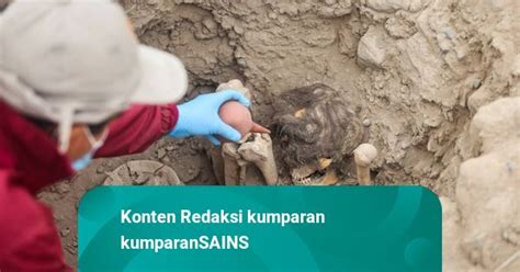 Foto Arkeolog Peru Temukan Mumi Berusia Tahun Kumparan