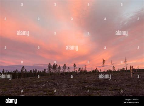 Vasterbotten County Hi Res Stock Photography And Images Alamy