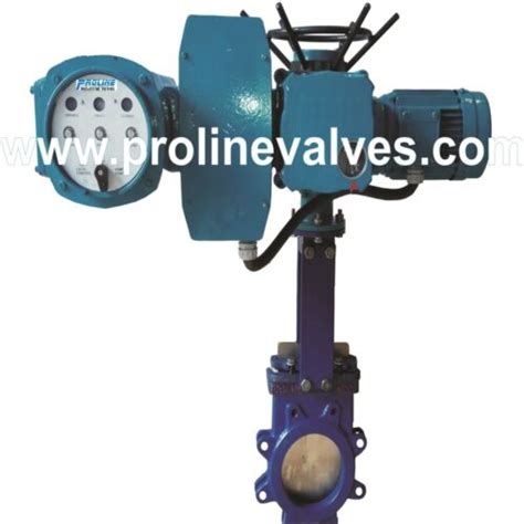 Proline Manufacturer Exporter Leading All Type Of Valves