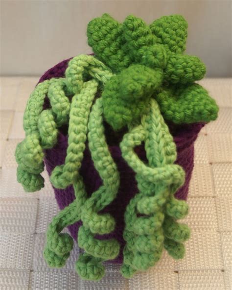 PLANTA Cactus De Ganchillo Amigurumi Patrones Gratis Ganchillo