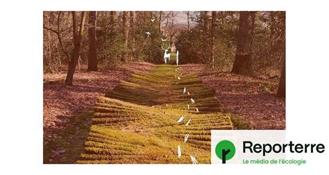 Soirée De Lancement De La Révision Du Plan Biodiversité De Paris