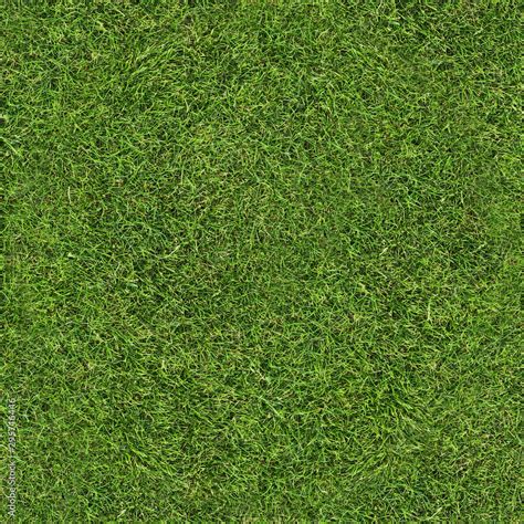 Seamless Green Grass Texture Stock Photo Adobe Stock