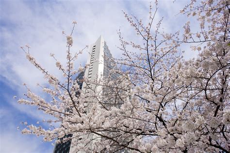 InterContinental ANA Tokyo, an IHG Hotel Reviews, Deals & Photos 2023 ...