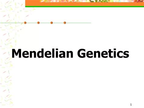 Ppt Mendelian Genetics Powerpoint Presentation Free Download Id 8704348