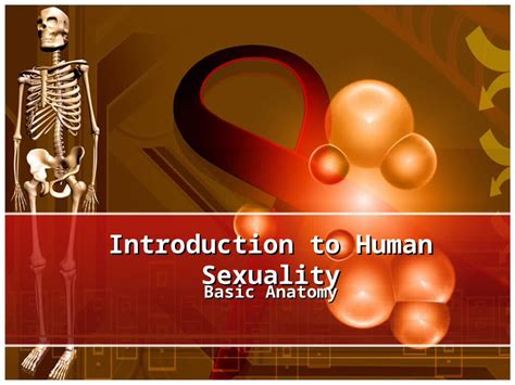 Ppt Introduction To Human Sexuality Basic Anatomy What Is Sexuality Sexuality Is An Integral