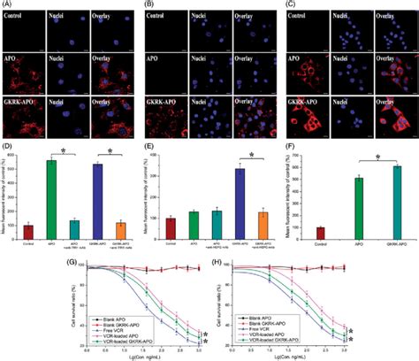 Cellular Uptake Of Cy Labeled Apo Or Cy Labeled Gkrk Apo By