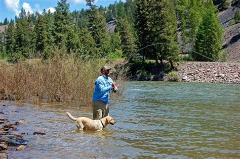 Montana Fly Fishing Montana Trout Outfitters