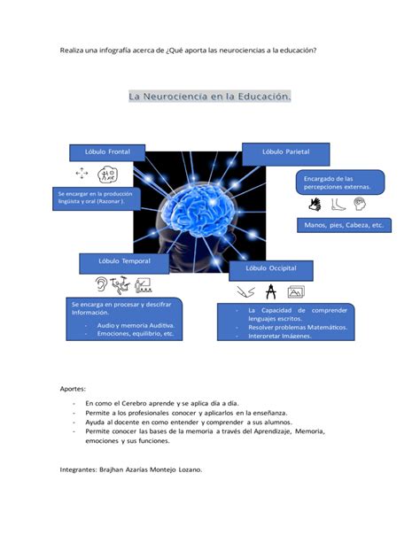 Infografía Sobre La Neurociencia En La Educación Brajhan A M L