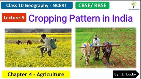 Cropping Patterns In India Chapter 4 Agriculture Class 10 Geography