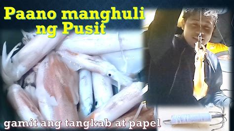 Paano Manghuli Ng Pusit Gamit Ang Tangkab At Papel How To Catch A