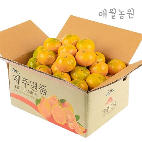 애월농원 꿀당도 하우스귤 1kg 로얄소과실중량2개구매시 추가증정 티몬