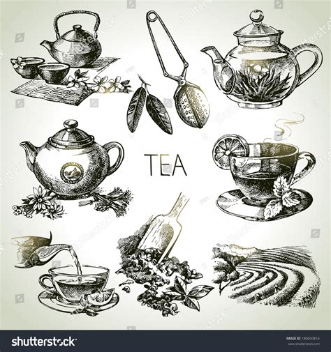 Hand Drawn Sketch Vector Tea Set Stock Vector (Royalty Free) 180650816 ...