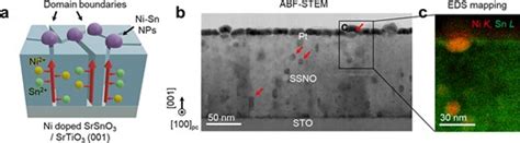 Domain Orientated Nanoparticle Exsolution In Defect Engineered Stannate