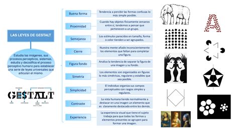 Leyes De Gestalt Mapa Conceptual Apuntes De Diseño Docsity