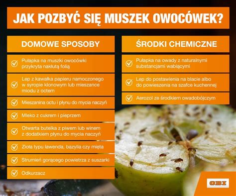 Jak pozbyć się muszek owocówek Kobieta w INTERIA PL