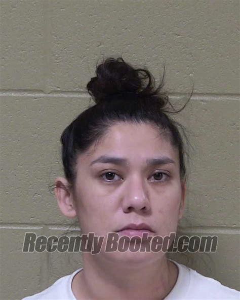 Recent Booking Mugshot For Natasha Marie Polar In Delta County Michigan