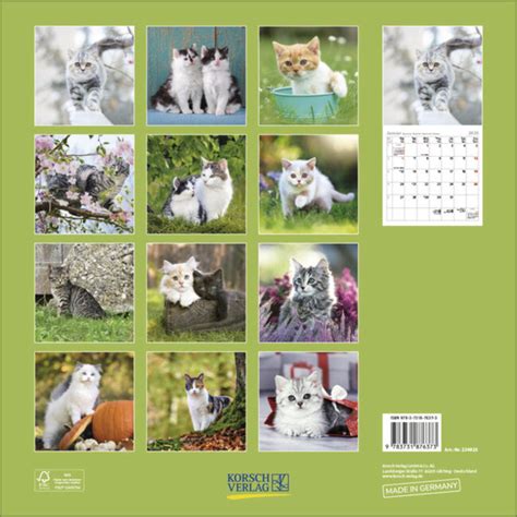 Katten Kalender Kopen Bestel Eenvoudig En Snel Online