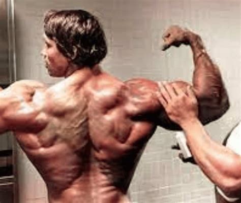 Arnold Back Workout How To Make Your Back Huge
