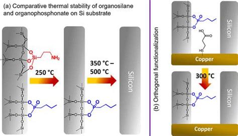 有机膦酸酯自组装单分子层的热稳定性和正交功能化作为铜互连的潜在衬垫acs Omega X Mol