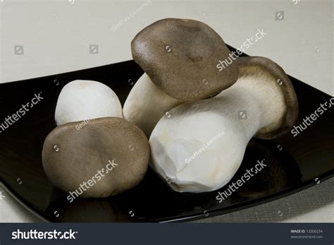 Chinese Mushrooms Stock Photo 13300234 : Shutterstock