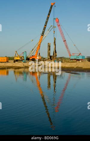 Cranes Building a Bridge on the Amu Darya or Oxus River near Urgench in ...