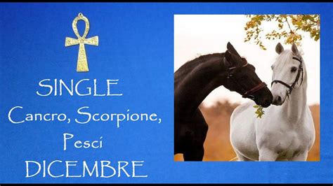 Single Cancro Scorpione Pesci Dicembre Youtube