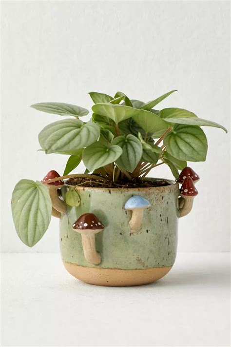 Sprouting Mushroom Planter Urban Outfitters Canada