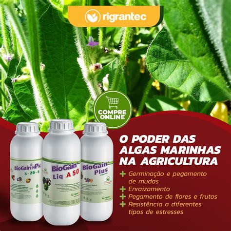 Biogain Npk Fertilizante A O Bioestimulante Base De Algas