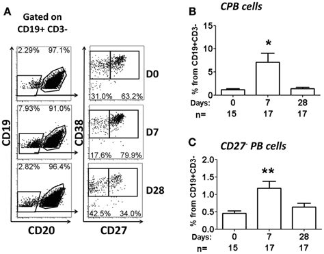 Expression Of Homing Molecules By Cpb Cells Cpb Cells Cd Dim