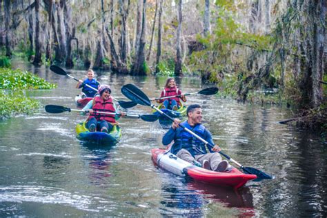 Swamp Tours New Orleans Honey Island Swamp